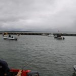 Conocé a los ganadores de la 47° edición de las “20 Horas de Pesca” del Pirá Pytá 1 2 - IMG 8233 - 1