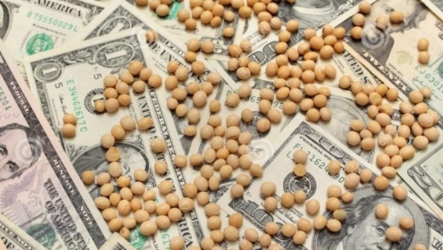 La soja vuelve a su menor precio desde 2008