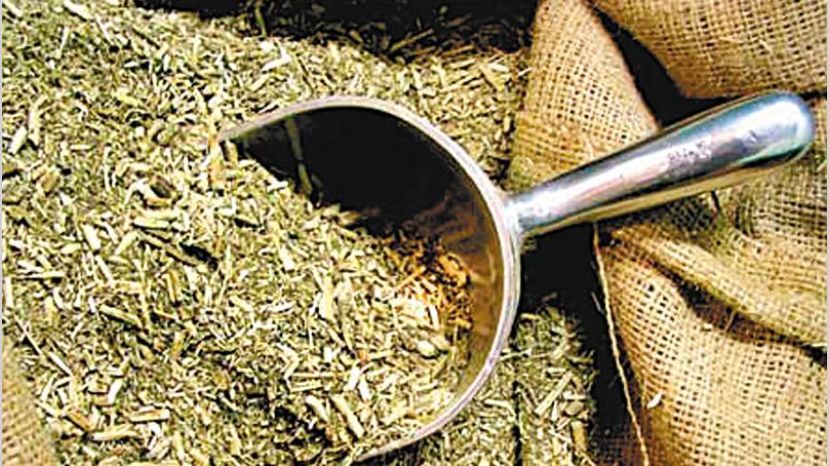 Aumenta el precio de la yerba mate