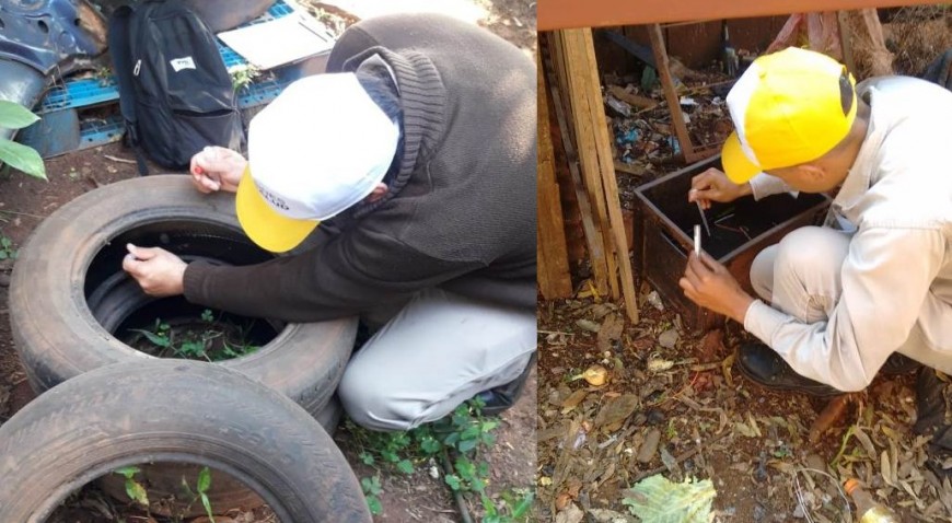 Continúan reforzando las acciones de control vectorial en la Provincia