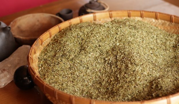 Estudian el potencial efecto anticancerígeno de la yerba mate