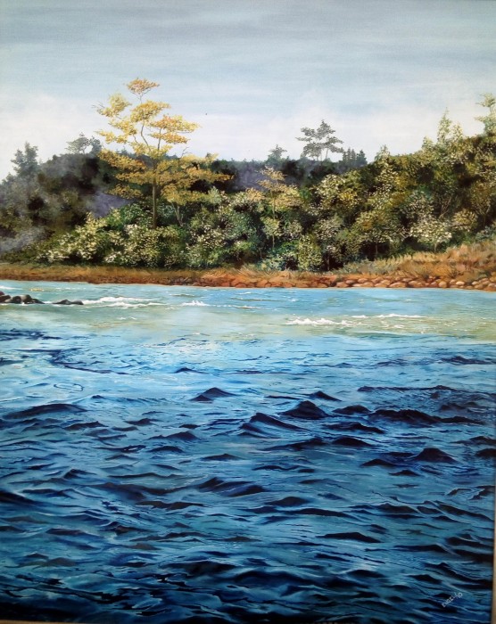 Ernesto Engel: “Lo nuestro como símbolo de rebeldía”