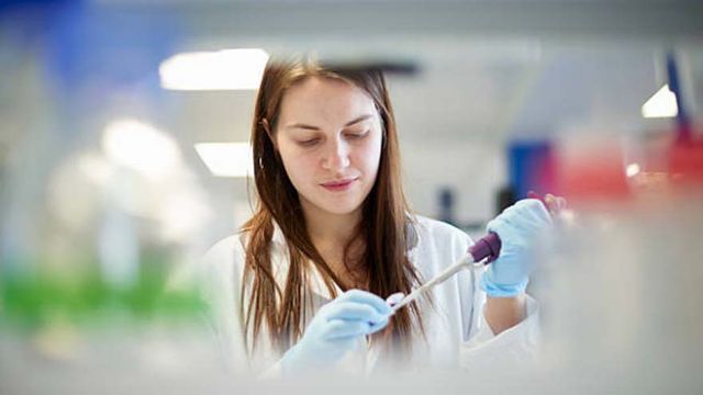 Salida laboral: el 72% de las empresas en Argentina da prioridad a los perfiles de ciencia y tecnología