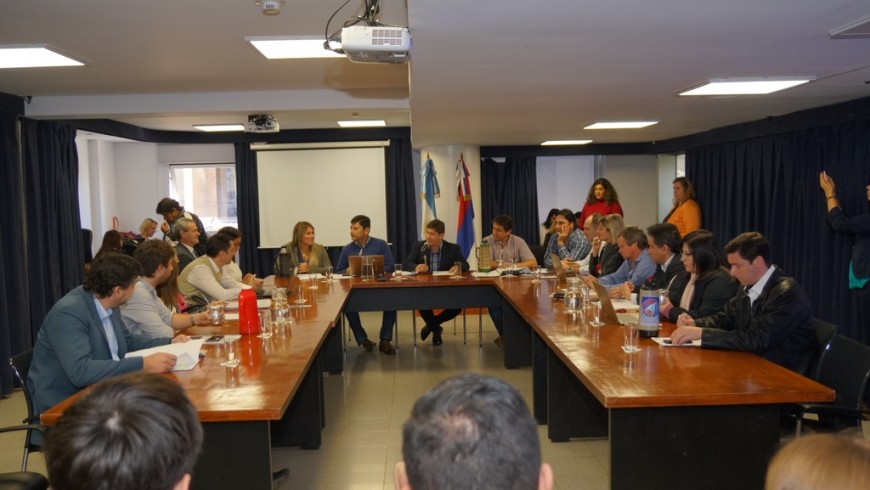 Buscan actualizar la ley que regula la actividad de profesionales obstétricas en Misiones