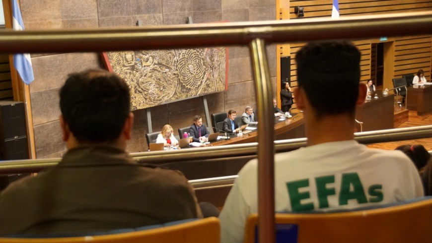 Aprobaron el establecimiento de un régimen propio para las escuelas EFA