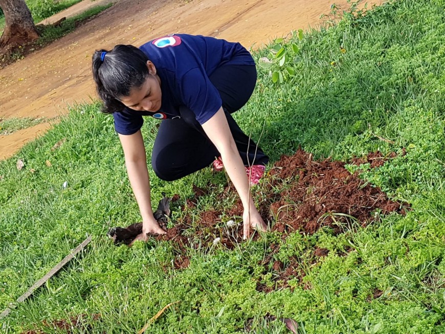 En menos de un año el municipio ya plantó 9 mil especies de árboles en espacios verdes de la ciudad