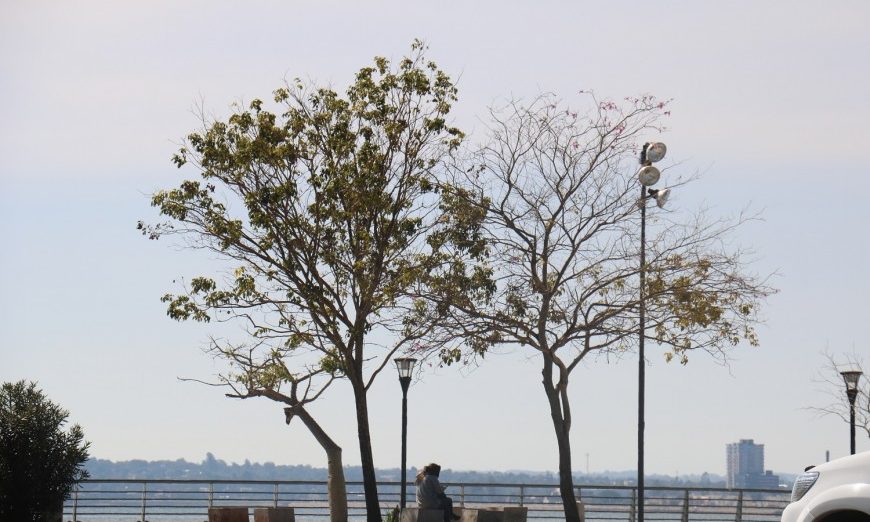 Tiempo: lunes cálido, con máxima de 30ºc