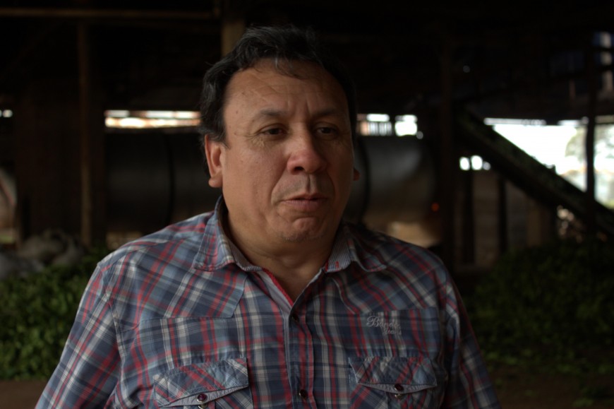 Este jueves el INYM volvería a tratar el pedido de asistencia a los tareferos durante la interzafra