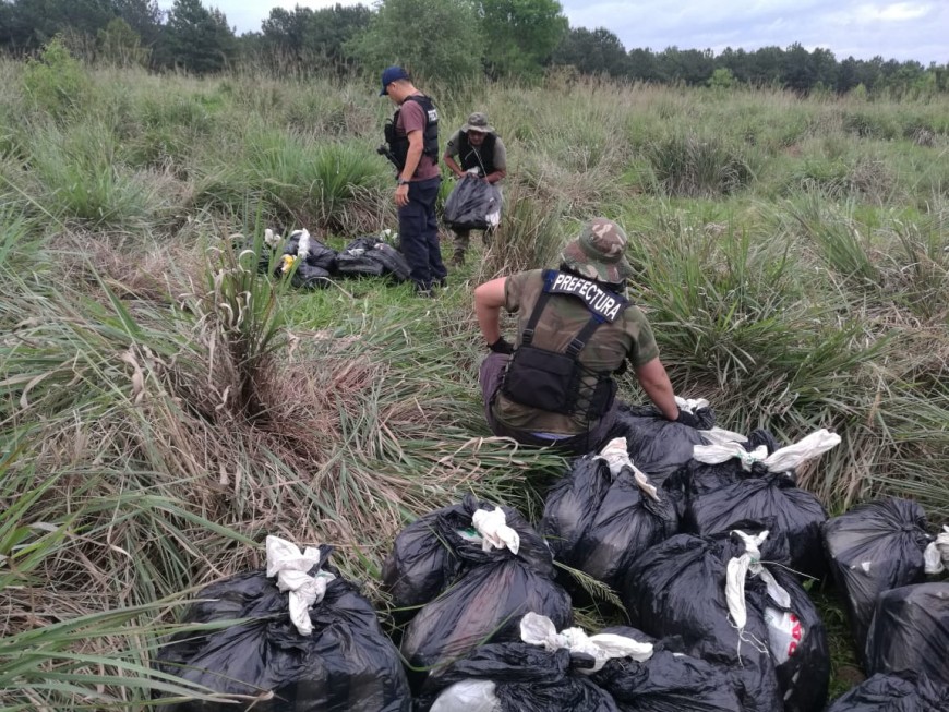 Decomisaron más de 500 kilos de marihuana en Santa Ana