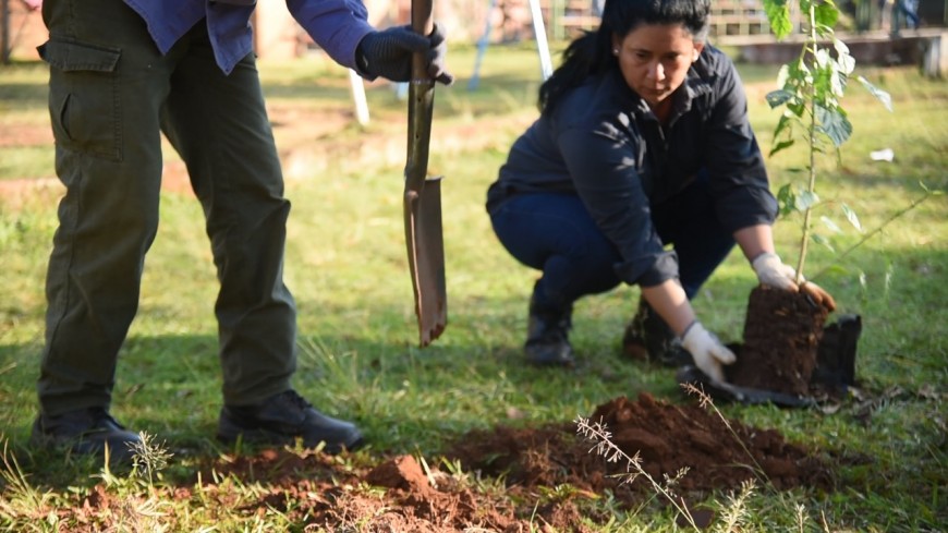 El Vivero Municipal ofrece asesoramiento a vecinos interesados en plantar árboles