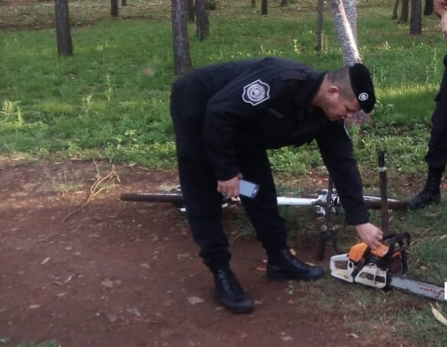 Sustrajo una motosierra y terminó detenido