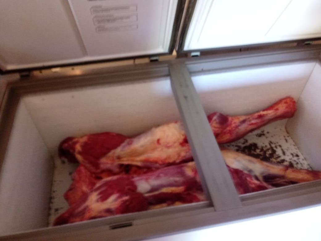 Capturan a otros dos "cuatreros" en Mojón Grande 2 4 - WhatsApp Image 2018 10 20 at 15.03.27 - 3