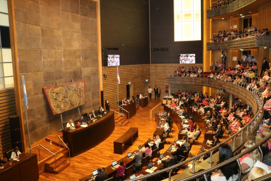 Ley de Paridad Política: Misiones a la vanguardia del reconocimiento de los derechos de la mujer