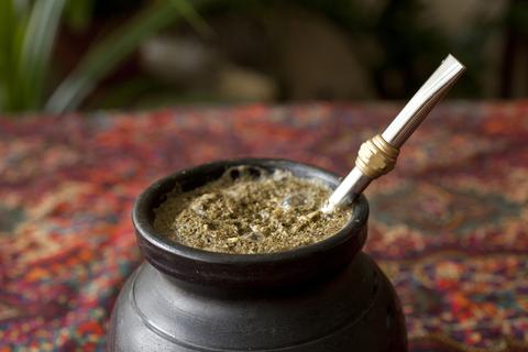 Yerba mate: estudio revela que su consumo colaboraría en el tratamiento de la obesidad