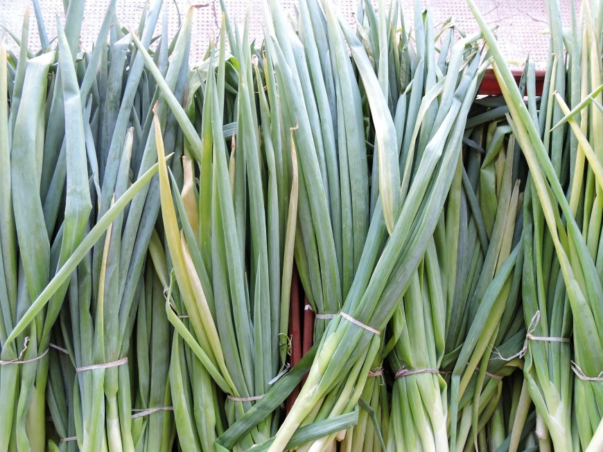 Promociones en el Mercado Concentrador hasta agotar stock