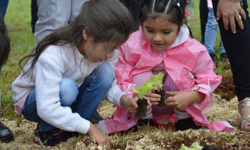 Huertas en escuelas: comienza a regir la ley provincial