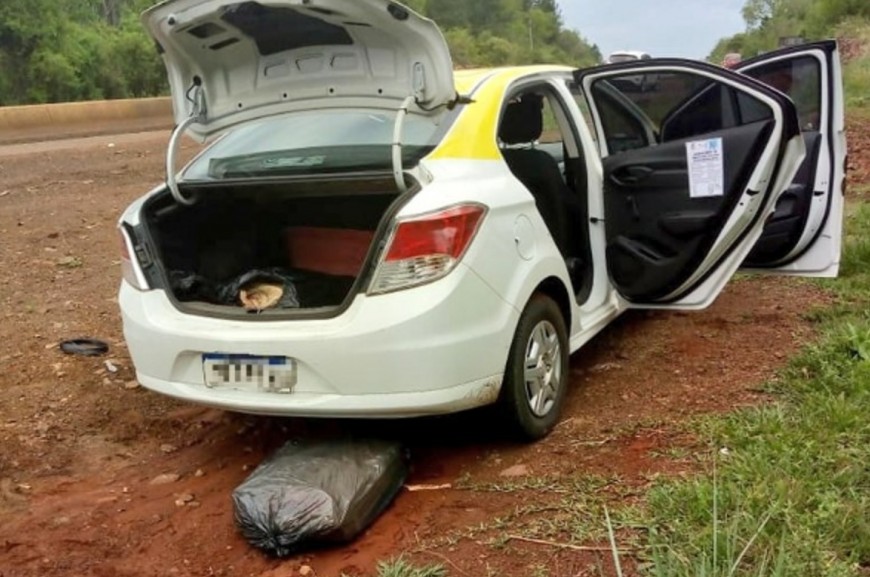 Interceptaron a «Taxinarco» e incautaron 184 panes de marihuana