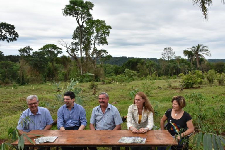 El  Gobierno provincial lanzó el Plan "Bambú Misiones"