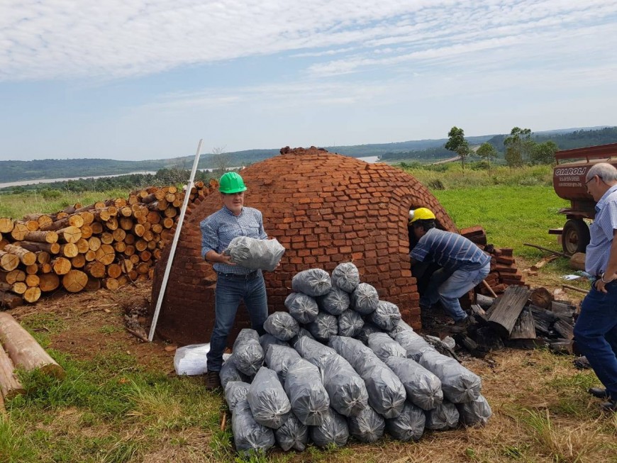Arrancó el relevamiento de productores carboneros