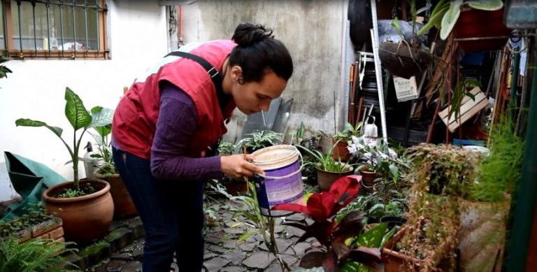 Dengue: recuerdan a los vecinos revisar sus patios luego de las lluvias
