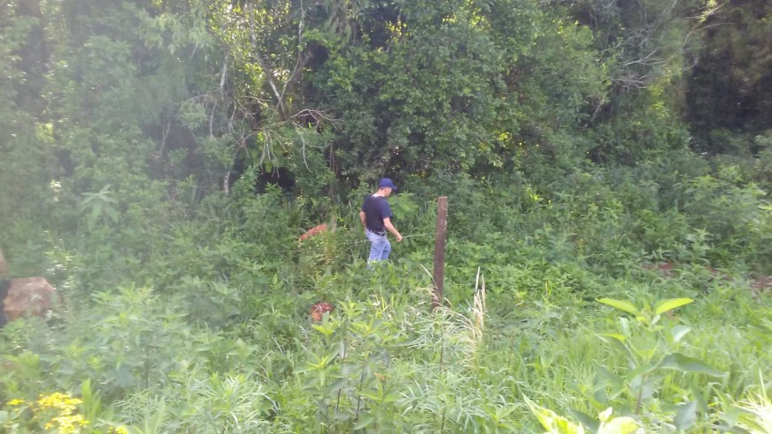 Intenso operativo en zonas rurales y de frontera en busca del homicida de San Antonio