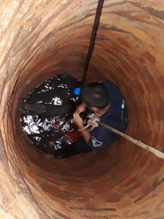 Bomberos rescataron a un perro de un pozo de agua en Garupá