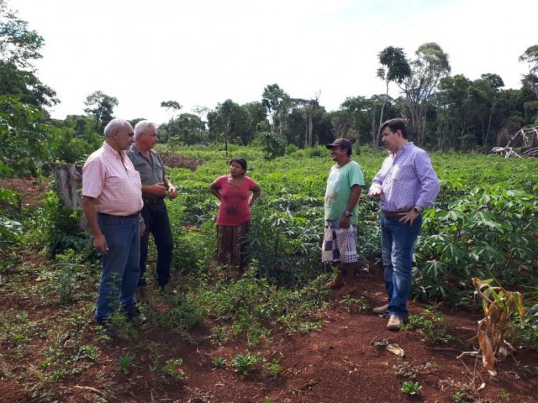 Aldeas Mbya Guaraní recibieron plantines de citrus