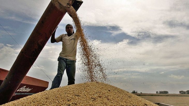 Estiman que exportaciones agrícolas impulsarán actividad económica en 2019