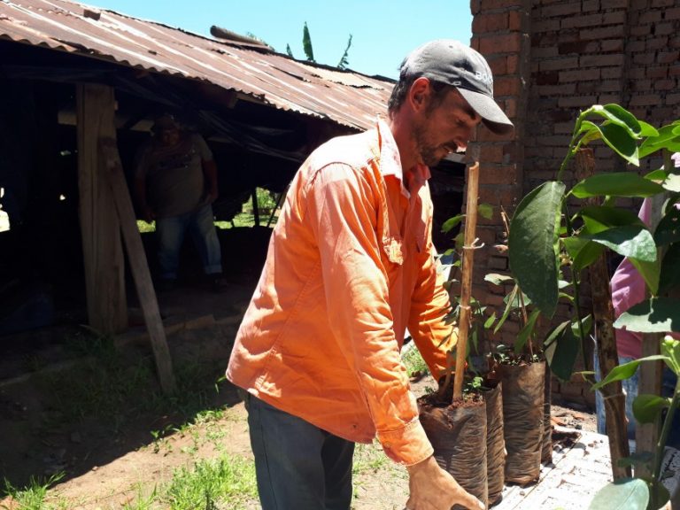 Entregaron plantines de cítricos a 80 familias del barrio El Porvenir de Posadas