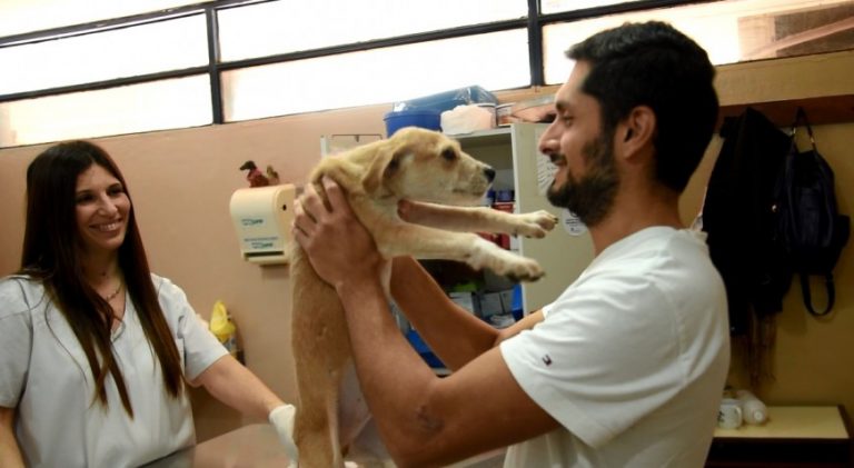 El IMuSA realizó un nuevo operativo de castración y vacunación de mascotas en la Chacra 150