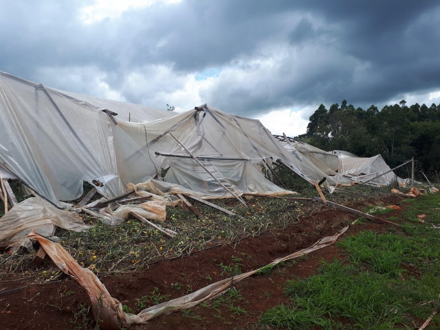 Asistieron a productor afectado por las tormentas en Aristóbulo del Valle