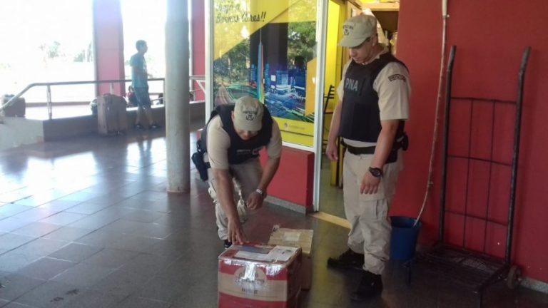 Montecarlo: Prefectura secuestró marihuana valuada en más de medio millón de pesos