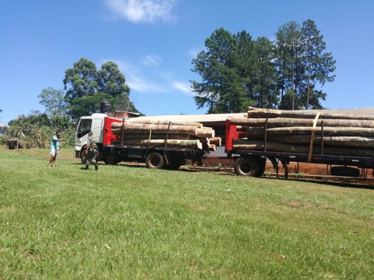 Detuvieron un camión con madera nativa sin guía habilitada para transporte
