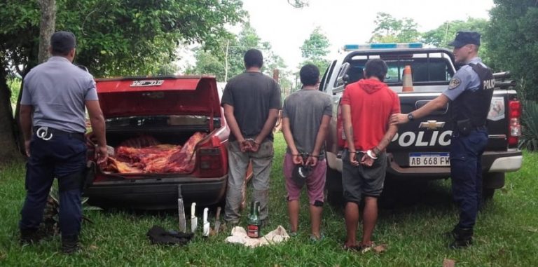 Tres detenidos, un auto secuestrado y más de 500 kilos de carne incautada en San Vicente