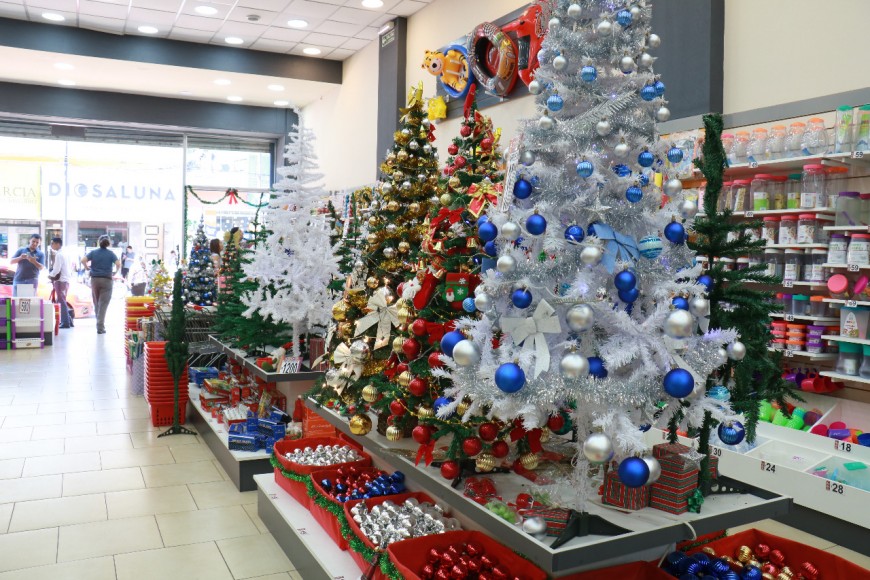 En Posadas, armar el árbolito cuesta más $700