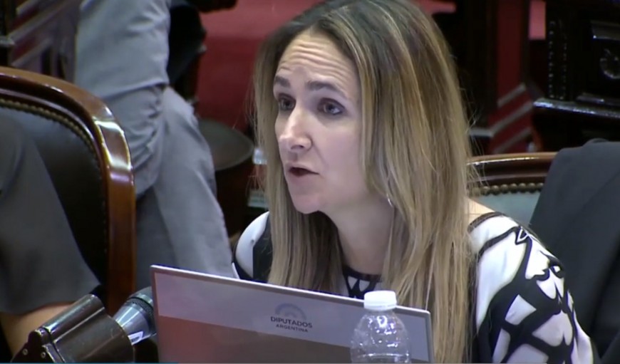 Diputados dio media sanción a Ley de Promoción Forestal