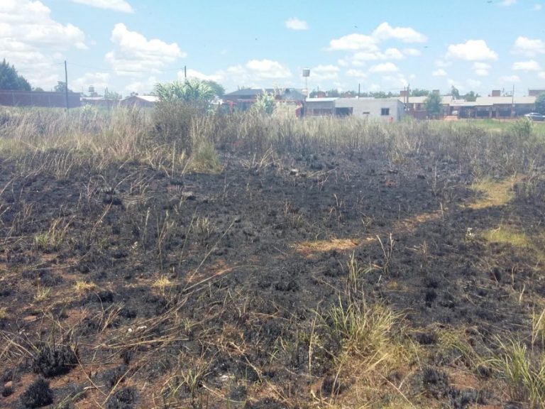 Bomberos sofocaron incendio de malezas a metros de una casa en Posadas