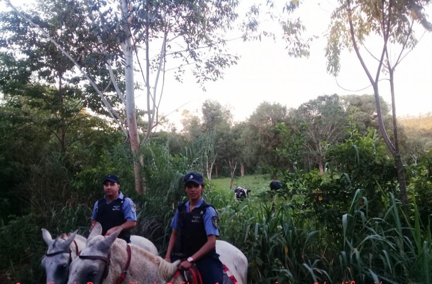Operativo en el Norte de Misiones: por primera vez una mujer encabezó una patrulla de la Montada