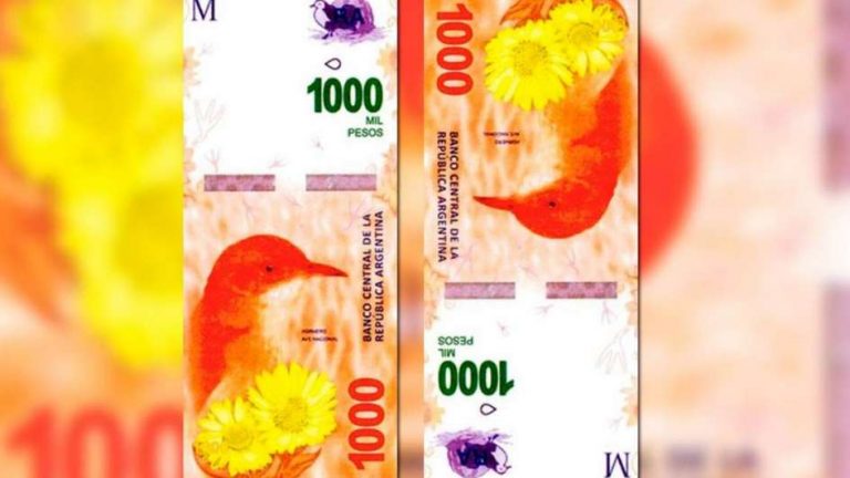 Circulan billetes falsos de 1000 pesos en Misiones: ¿cómo identificarlos?