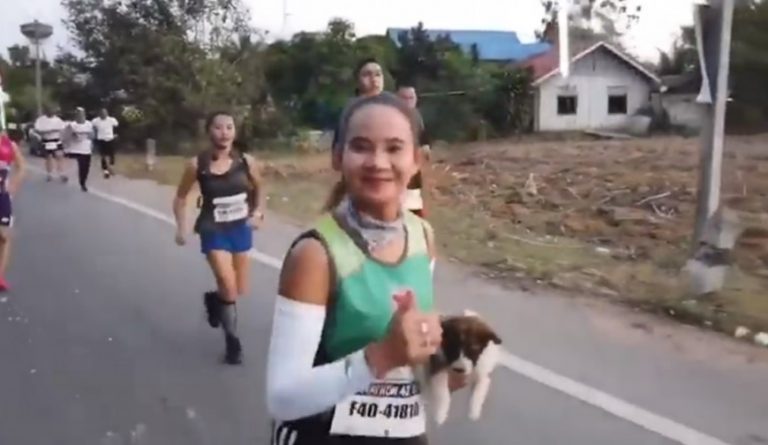 Participaba de una maratón y se encontró un cachorro perdido: corrió más de 30 kilómetros con el animal