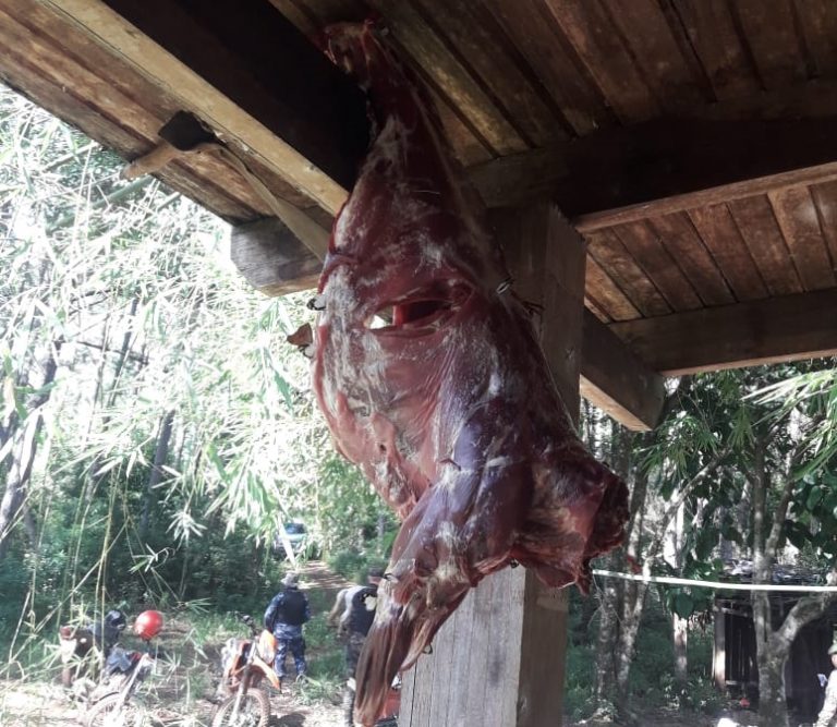 Caza furtiva: desmantelaron un "campamento" de cazadores en Santiago de Liniers