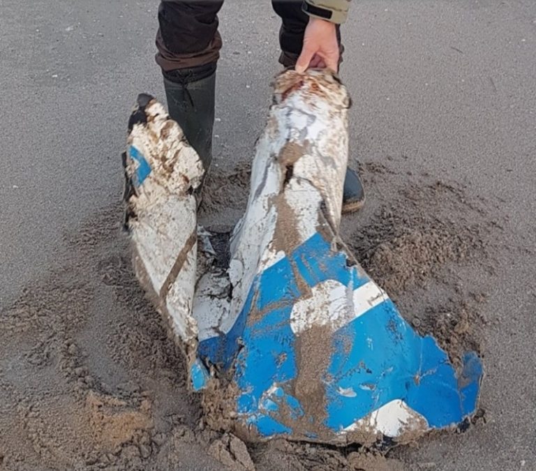 Descartaron que los restos metálicos hallados en Holanda sean del avión que trasladaba a Emiliano Sala