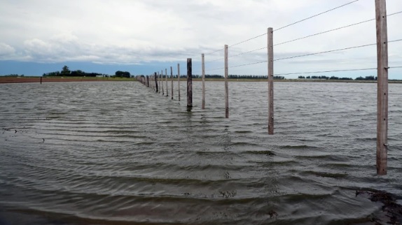Inundaciones: el Gobierno declaró la emergencia hídrica por 180 días