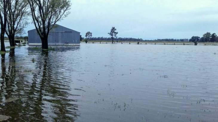 Inundaciones: declaran la emergencia agropecuaria en cuatro provincias