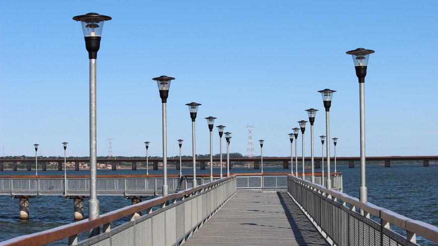 muelle