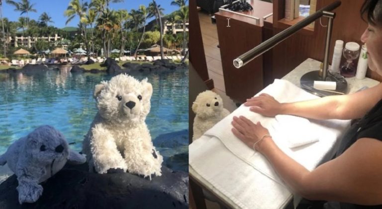 Un nene olvidó su peluche preferido en un hotel, se lo guardaron y lo fotografiaron disfrutando de las vacaciones
