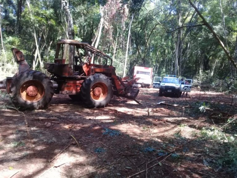 Golpe al apeo ilegal: incautaron un tractor y motosierras en Liniers