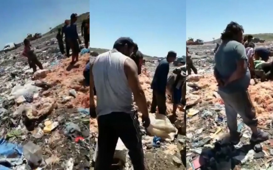 Crisis: la gente busca pollos en mal estado tirados por supermercado en Mar del Plata