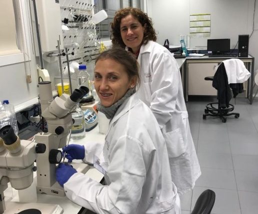 Profesionales de la Biofábrica se capacitan sobre nuevas biotecnologías en España