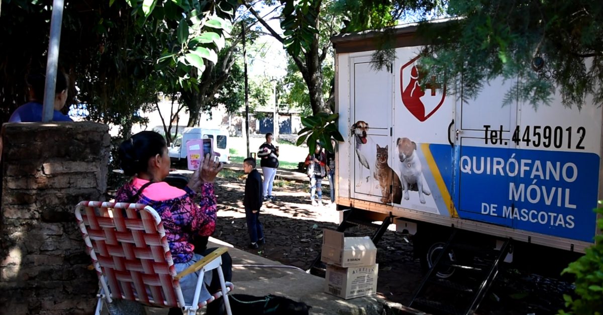 El quirófano móvil del Imusa atendió a las mascotas del barrio Hermoso